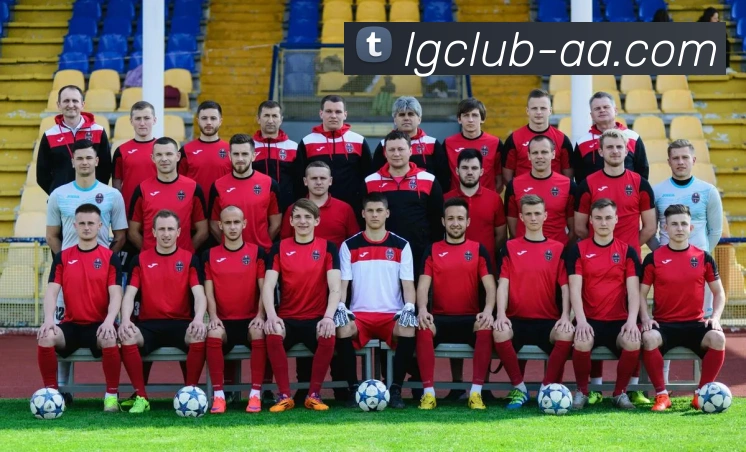 老哥俱乐部官网平台生态图